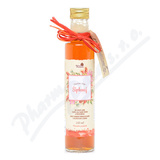 Naturptodukt Domc sirup pkov 250ml