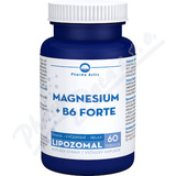 Magnesium +B6 forte lipozomal tob. 60