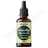 Allnature Chlorofyl z bl morue koncentrt 30ml