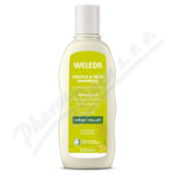 WELEDA Vyiv. ampon s prosem normln vlasy 190ml