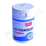 Apotheke Lactobacillus acidophilus cps. 60